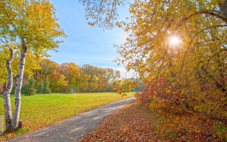autumn-park-path-trees-sun-rays-2K-wallpaper